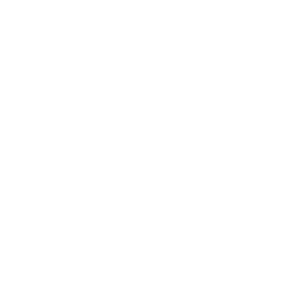 Argus Solutions™